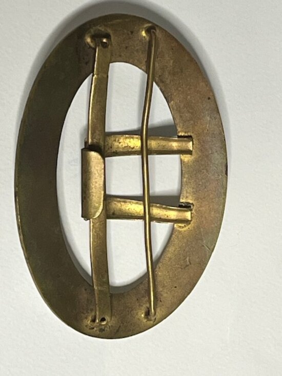 VTG Oval Enamel Floral & Brass Belt Scarf Belt Buckle Hand-Painted 3.5\